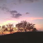 Guinzano