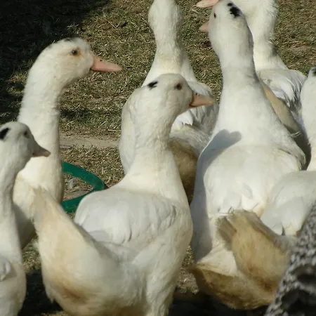 Hétvégi ház Guinzano Gubbio