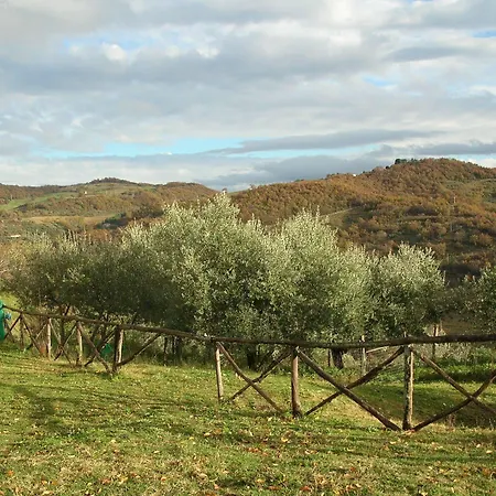 Guinzano
